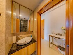 Spottiswoode Suites (D2), Apartment #525289051